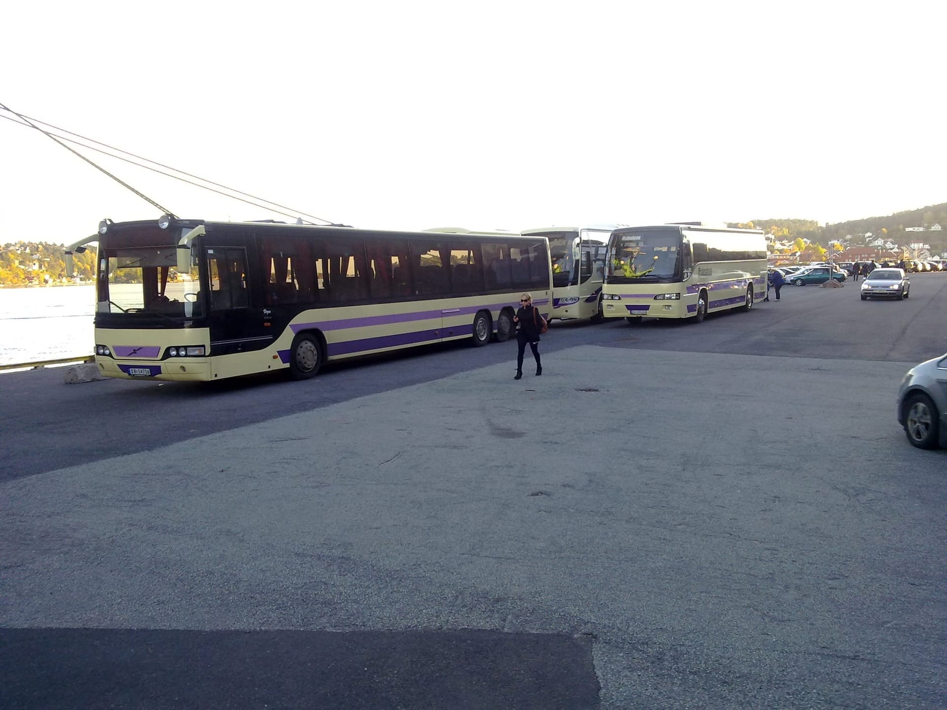 Frolandsruta-busser på rad på en åpen plass